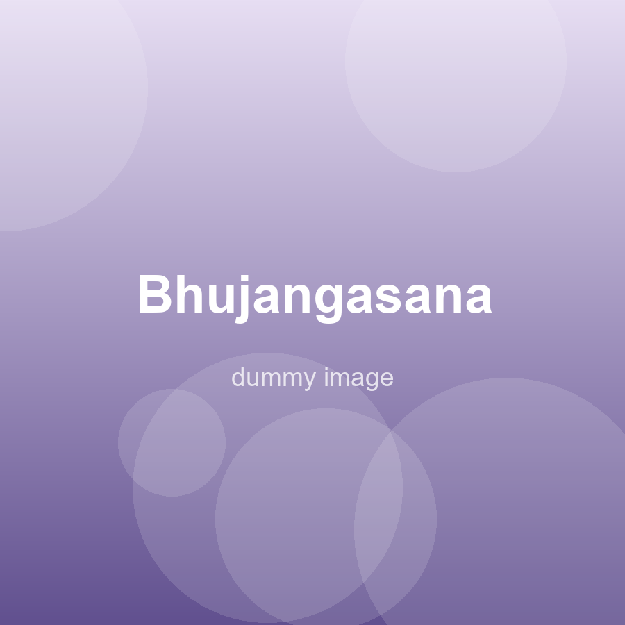 The Body Keeps the Appointment — dummy image