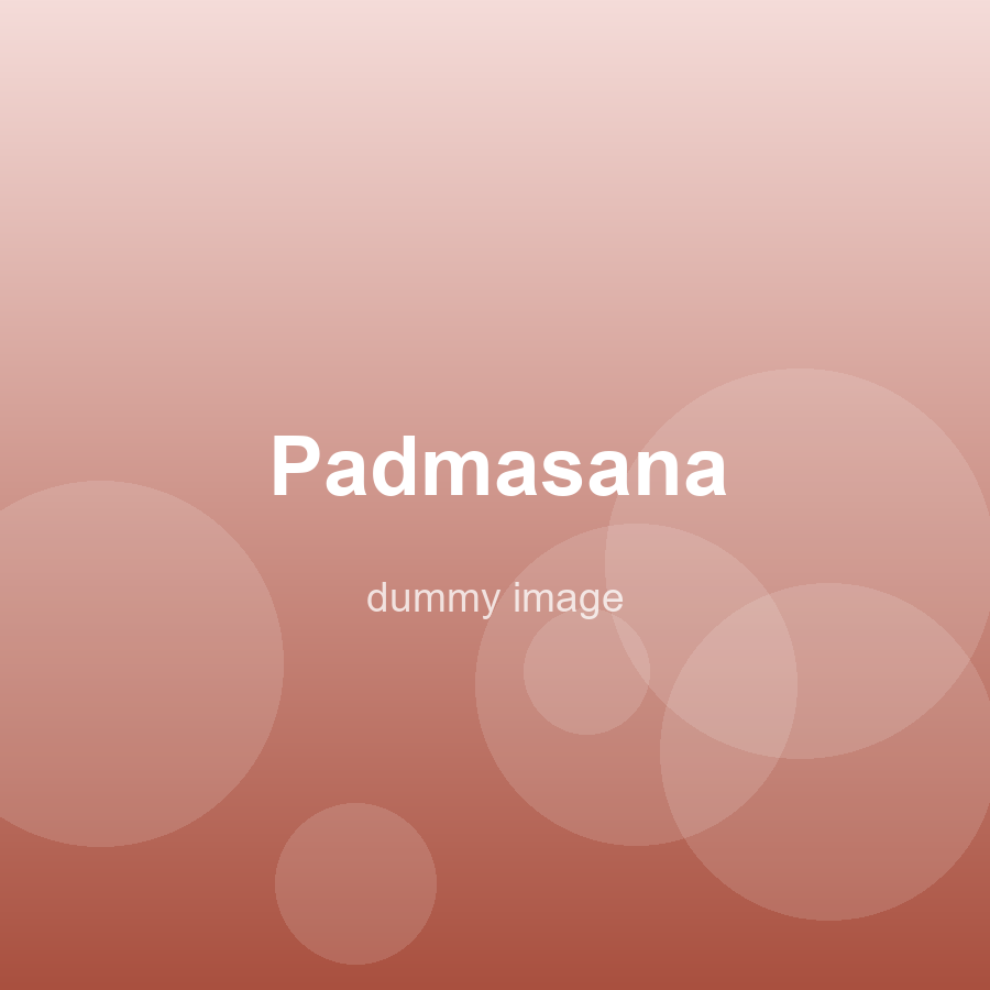 Seated practice, meditation hall — dummy image