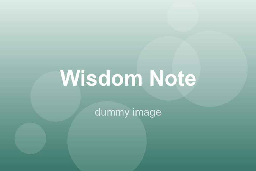 Why Anger Is Late Information — dummy image